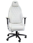 BENTLEY CONTINENTAL GT DRIVESEAT