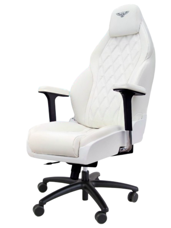 BENTLEY CONTINENTAL GT DRIVESEAT