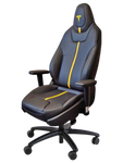 TESLA MODEL S DRIVESEAT